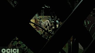 激アツ3D巨乳美女3Pフェラチオとバック