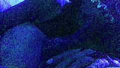 i put together a compilation of redfantasies shorts for this freebie