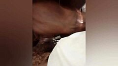 Black princess sucks and licks a cock in a backroom setting.
