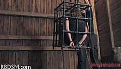 Explore free sadomasochism games for an immersive experience.