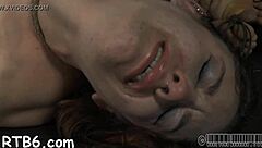 Free hardcore porn video with a variety of scenes