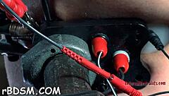 A Hardcore Video Unfolds