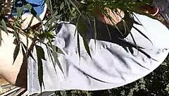 Hot suck and fuck in 420 patch