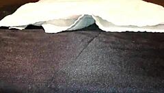 tied down in restraint session with fluid play