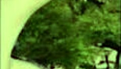 Lets Play Shroomlandia