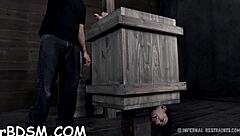 Extreme Toys Excite Slave Hottie