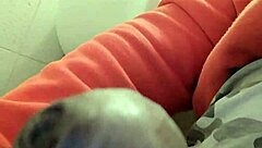 new tribute to the chilean cucumber