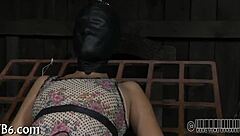 Hardcore Sadomasochism Porn