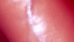 My Parents Will Be Out of Town Soon