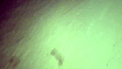 Married Fanny teases with no panties in public street