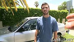 Free photos of homosexual activities