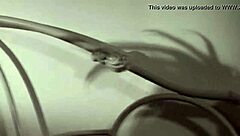 Hot Bhabi sex scene with a tango flip