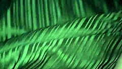 Why watch homemade amateur videos?