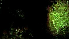 Vintage Erotic Illustrations of Antique Hentai and Anime Cartoons