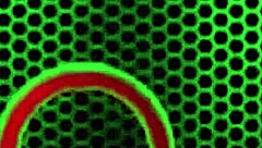 18yo Coed Miranda Miller Feet Fucked Perverted Philly John