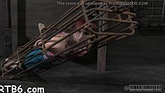 Redhead MILF with big ass and tits gives blowjob, bent over for creampie POV.