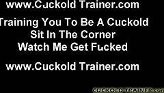A cuckold like you should have a facial with cum