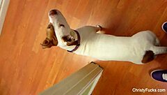 Wait, this is not in input, skipping