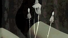 Exploring the wonderful world of vintage porn