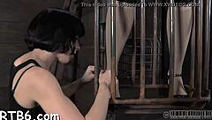 Free porn with hardcore scenes and more