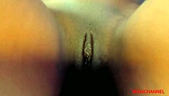 Big black cock action in a hot Caribbean threesome