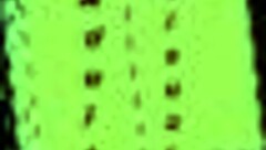 Exploring My New Family in Game 381