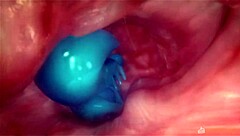 What secrets does Orange Fox 2 hide in 3D?