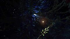 What secrets does Orange Fox 2 hide in 3D?