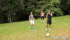 Shemale Blowjob Action