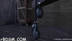 Bondage and discipline sex free of charge