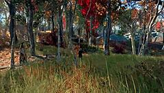 In the Forest, Stan and Jonathan Explore Their Desires Outdoors