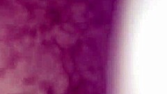 Willy And Jesse With Matthew