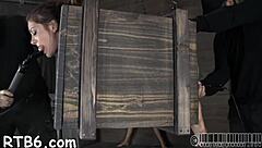 Pleasant Babe Receives Facial After Seductive Blowjob