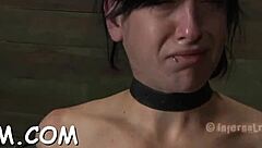 Gagged Chick's Rough Cunt Play