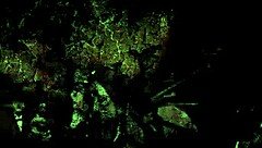 i admire vintage erotic drawings from antique collections