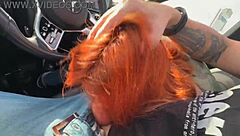 i swallowed the driver's cum