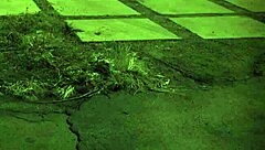 Penny flame experiences rough bondage sex for the first time