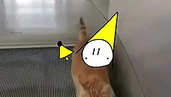 Top 5 paises con mas rugido de tripas