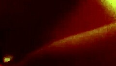 Close-up amateurs sex pov