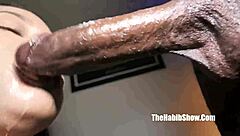 diamond banks intensely fucks rod hardman's massive bbc in ghetto reality