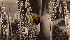 Vintage victorian homosexuals