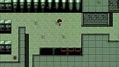 Entering Mansion of Ninja Women with Big Tits and Asses