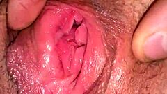 Quick Encounter Beneath Christmas Tree