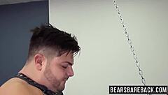 A well-endowed bear has rough and unscripted sex with a hairy bottom lover