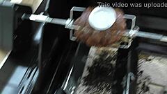 Bold beauty gets her ass toyed by her master