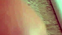 Alineflavio Update 138 from August 24, 2024!