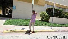 Gay HUGE JOCK in porn story.