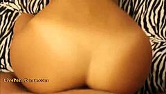 True latina slut loves big cock anal