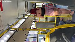 Brazilian employee surprises on public bus