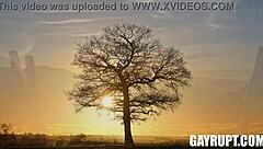 dirty little 18+ secrets nico coopa jc hunt carter woods cody seiya